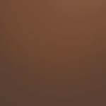 Chocolate Brown Balloons