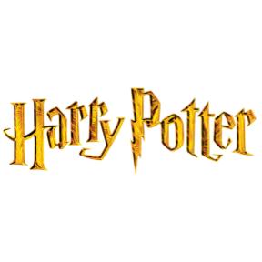 Harry Potter Balloons