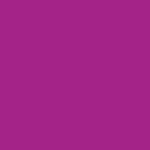 Purple Orchid Balloons