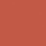 Terracotta & Burnt Orange Balloons