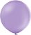 24" Standard Lavender (5pcs) Belbal Balloons