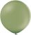24" Standard Rosemary Green (5pcs) Belbal Balloons