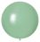 24" Standard Avocado Green (5pcs) Celetex Balloons