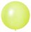 24" Standard Mint Green (5pcs) Celetex Balloons