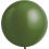 24" Fashion Eucalyptus (4pcs) Everts Balloons