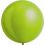 24" Fashion Kiwi (4pcs) Everts Balloons