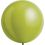 24" Fashion Sage (4pcs) Everts Balloons