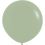 36" Fashion Eucalyptus (2pcs) Sempertex Balloons
