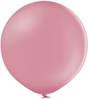 24" Standard Wild Rose (5pcs) Belbal Balloons
