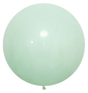24" Macaron Green (5pcs) Celetex Balloons
