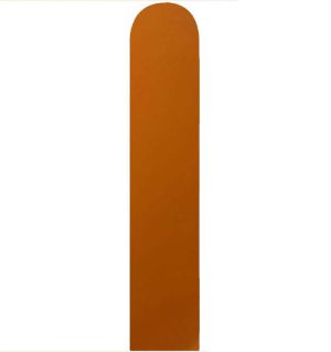 360 Standard Camel (50pcs) Celetex Balloons