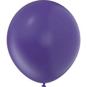 05" Style Plum (100pcs) Luma Balloons