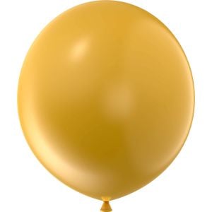 24" Style Mango (5pcs) Luma Balloons