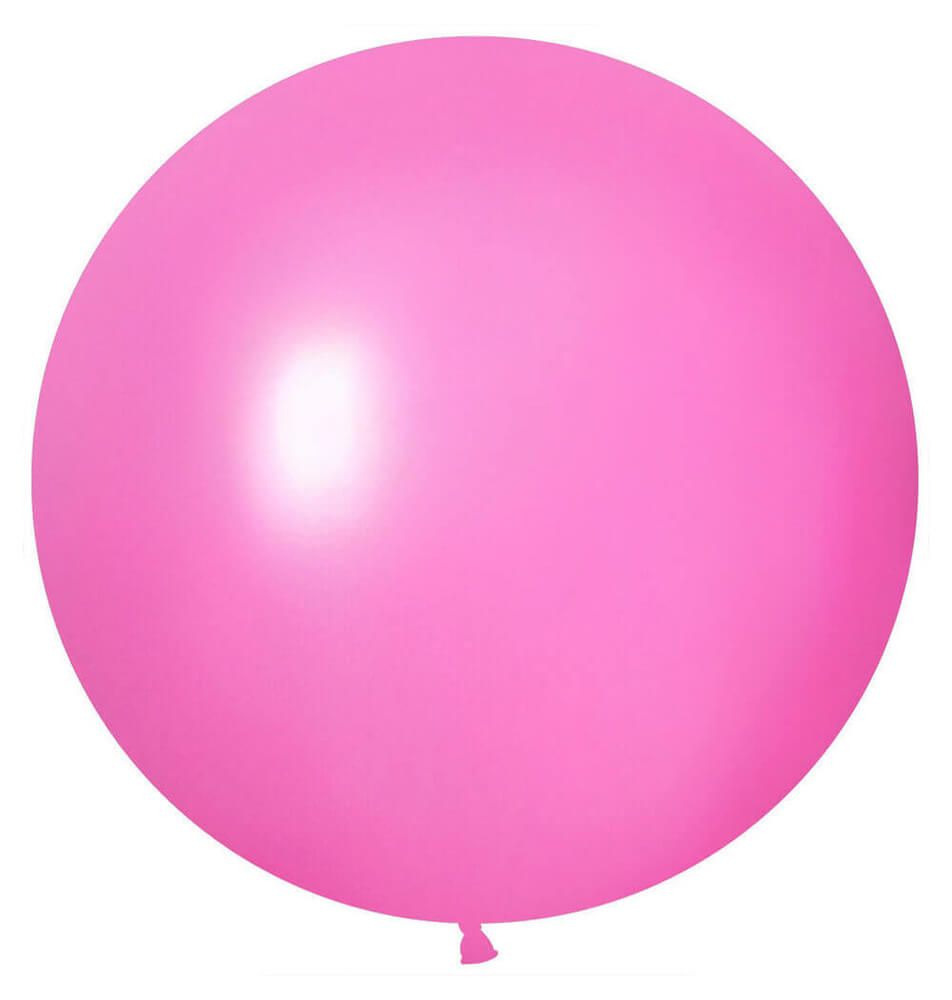 24" Standard Berry (5pcs) Celetex Balloons