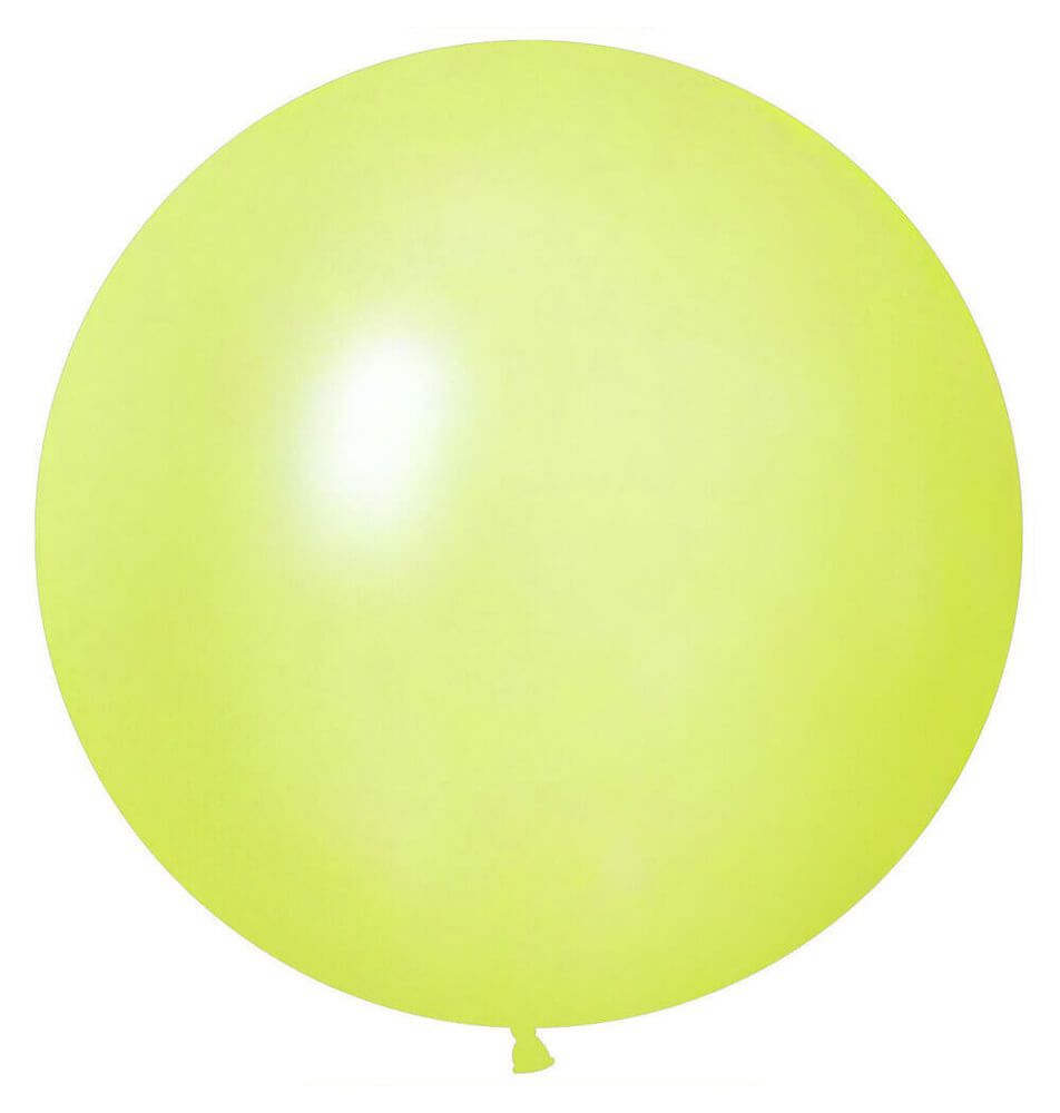 24" Standard Mint Green (5pcs) Celetex Balloons