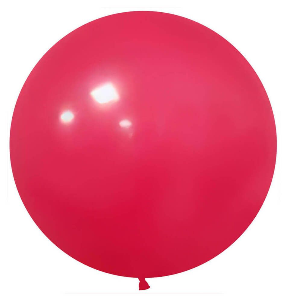 24" Standard Wild Raspberry (5pcs) Celetex Balloons