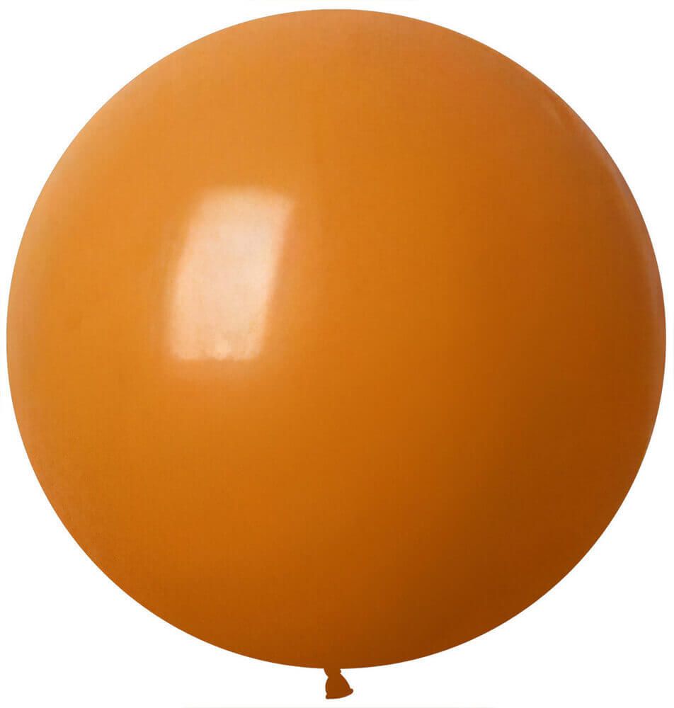 36" Standard Camel (10pcs) Celetex Balloons