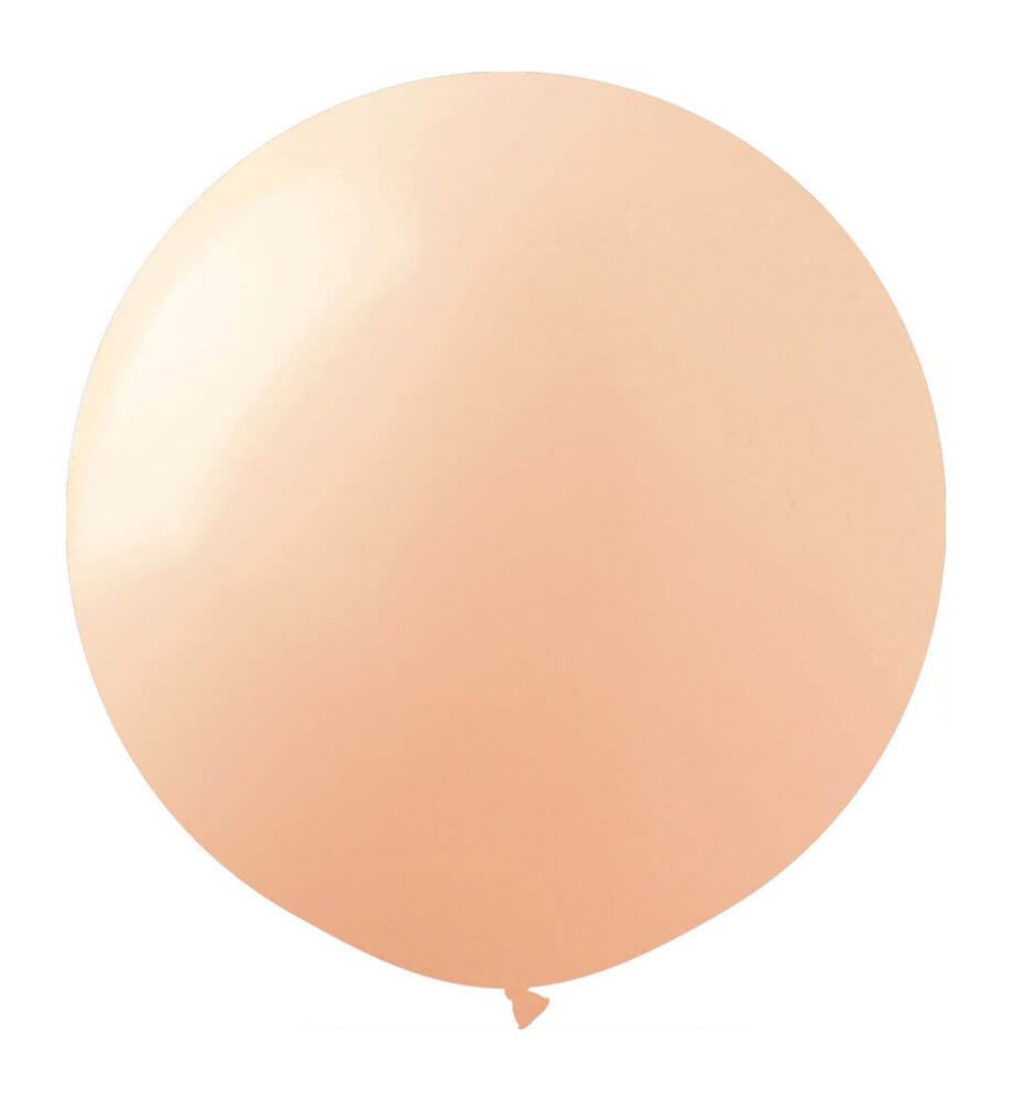19" Pastel Matte Peach Blush (10pcs) ProLatex Balloons