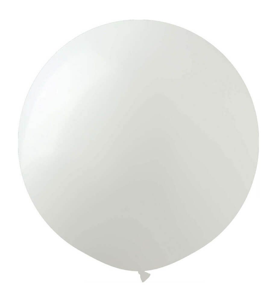 19" Standard White (10pcs) ProLatex Balloons
