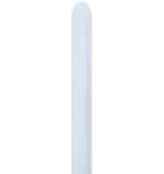 260 Fashion White (50pcs) Sempertex Balloons